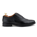 Smookie The Black Wingtip | Ivrah